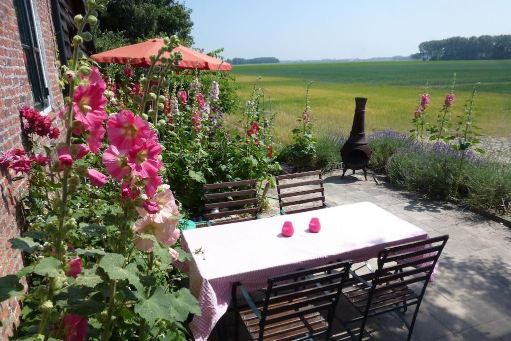 Dijkhuisje Zeeland Waterlandkerkje Exterior foto